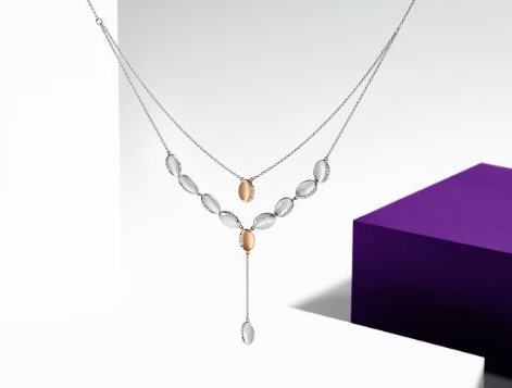 Platinum necklace by Platinum EVARA